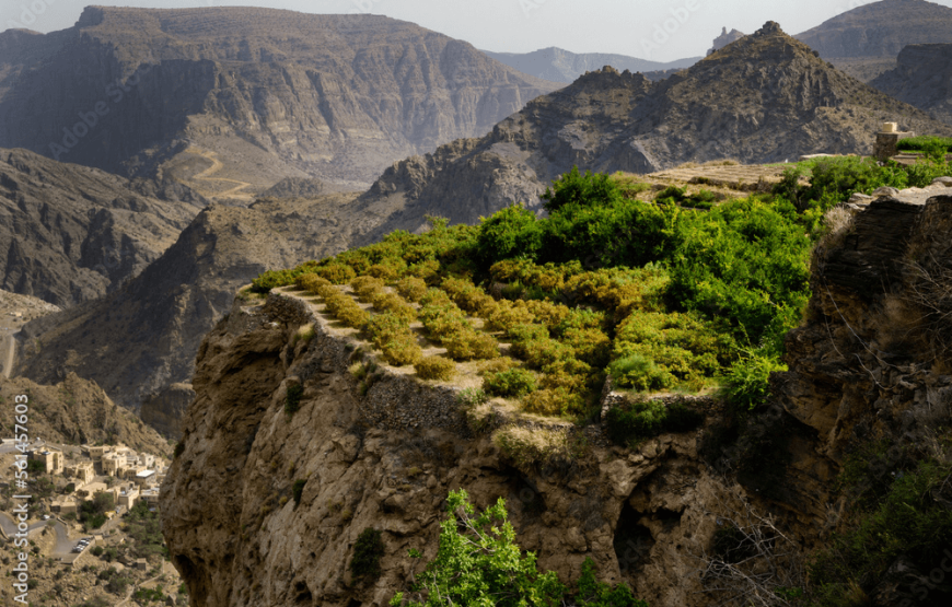 Oman 6N/7 Days