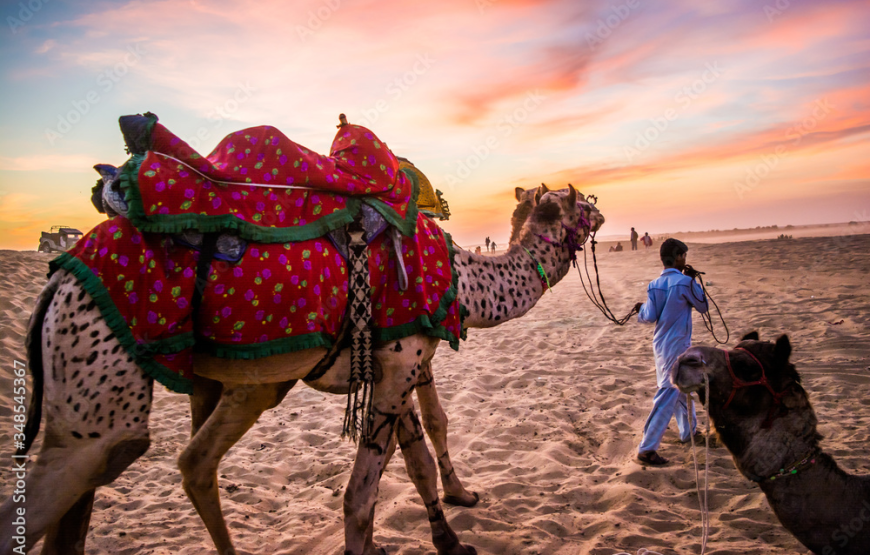 7N/8D Rajasthan Package II