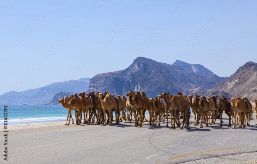4N/5D Salalah Package