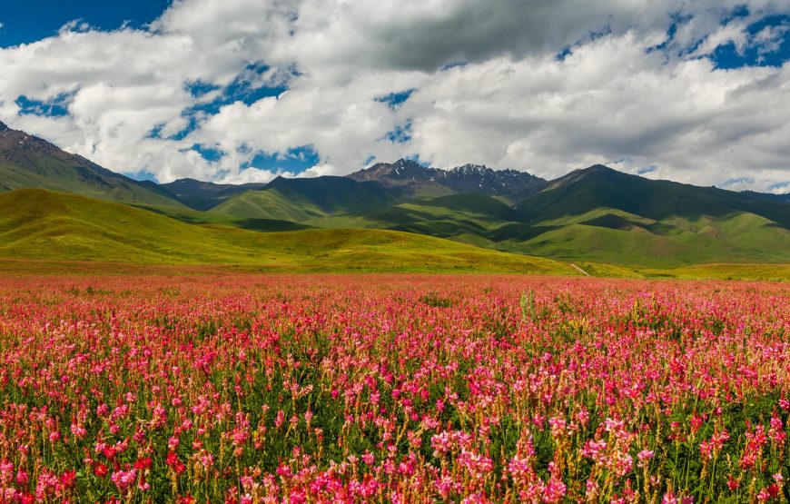 6N/7D Kyrgyzstan package