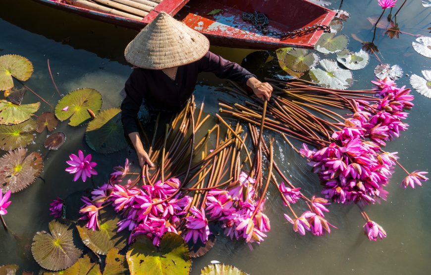 4N/ 5D Vietnam Highlights