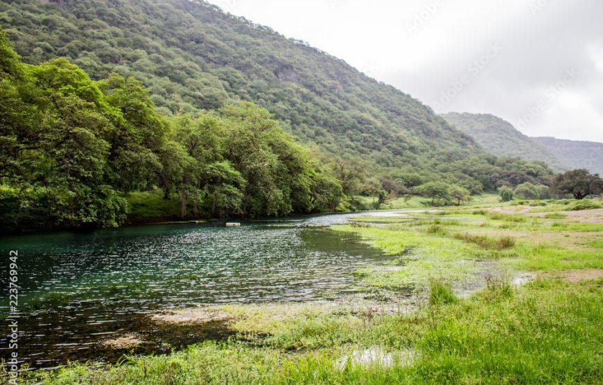 4N/5D Salalah Package