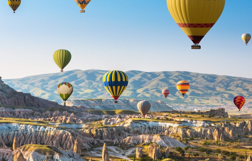 8N/9D Turkey