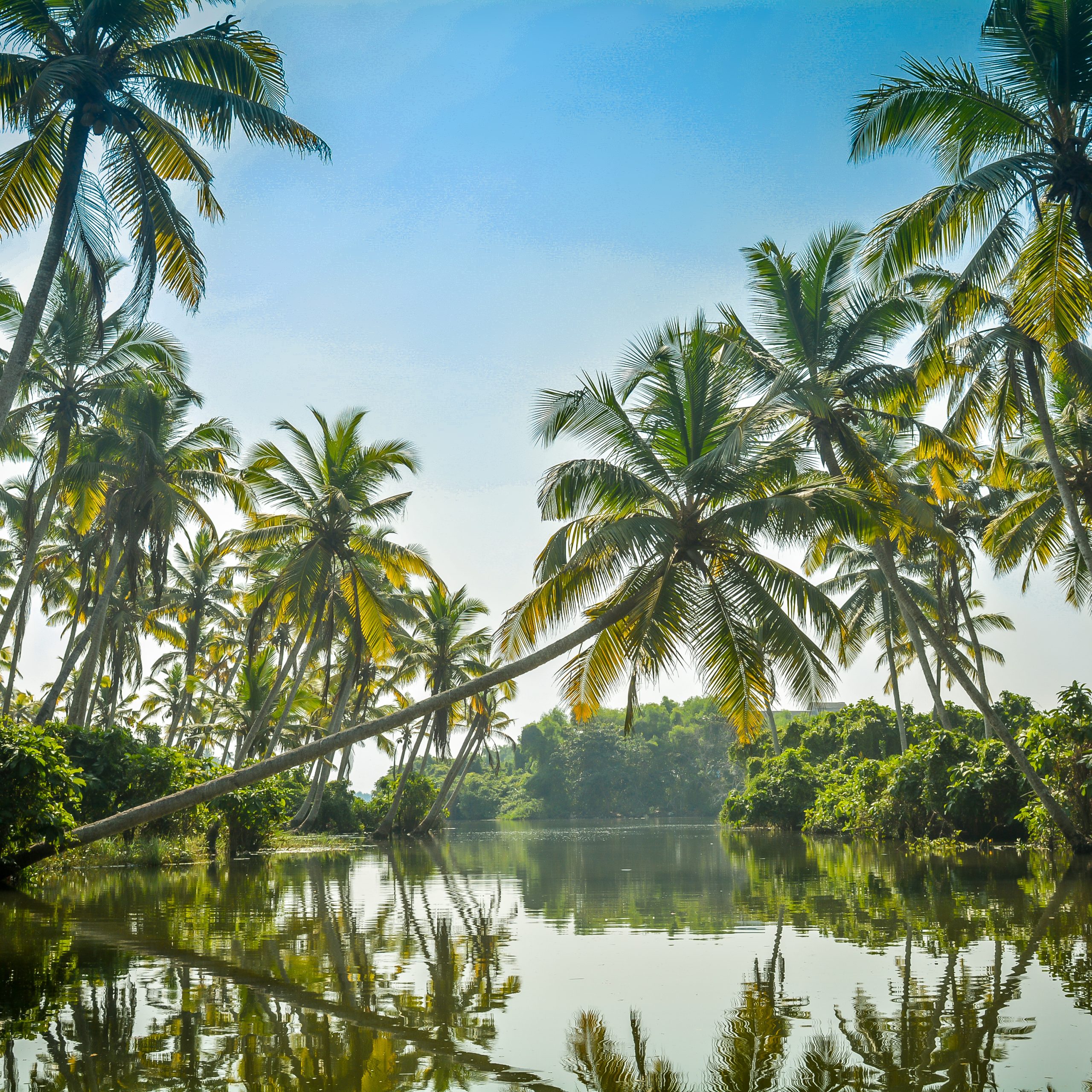 Kerala
