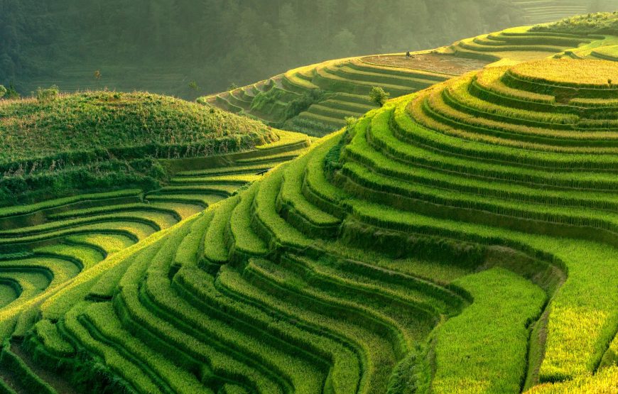4N/ 5D Vietnam Highlights
